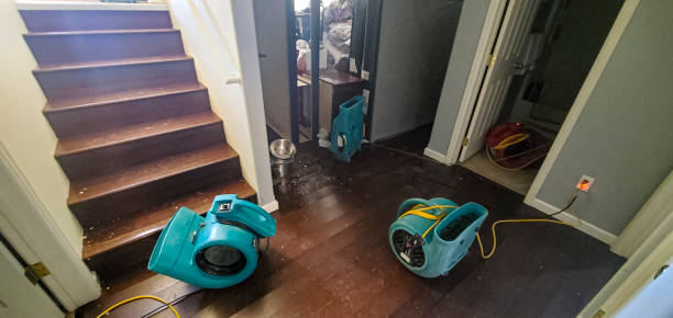 Best Commercial water damage restoration  in Blaine, MN