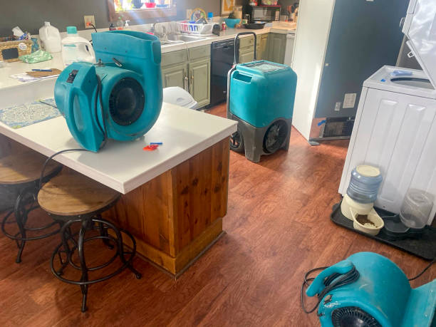 Best Water damage mitigation services  in Blaine, MN