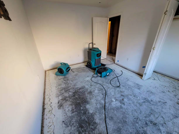 Best Mold removal after water damage  in Blaine, MN