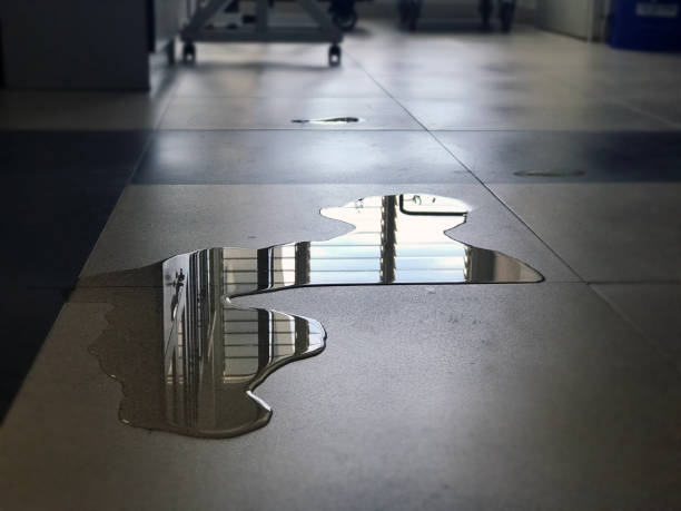 Best 24/7 water damage repair  in Blaine, MN