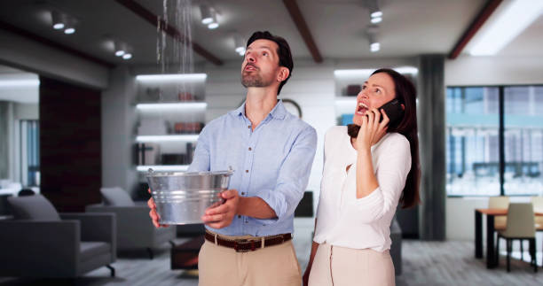 Best Water damage restoration near me  in Blaine, MN